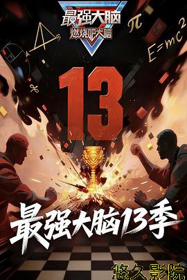 最强大脑 第十三季