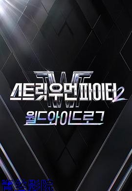 街头女斗士2：全球日志